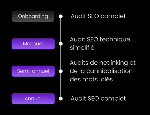 fréquence audit seo